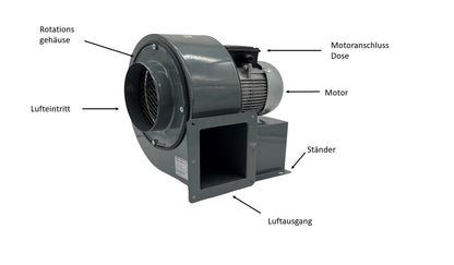 Industrie-Radialventilator 1800 m³/h – 230V